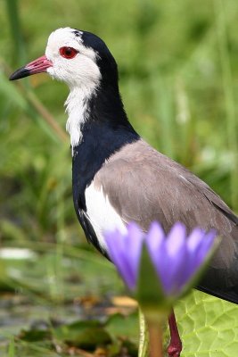 MB_022_1.jpg