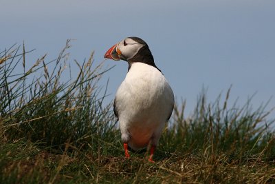 IMG_7558e_1.jpg