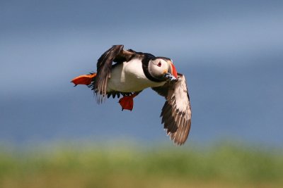 IMG_7352e_1.jpg