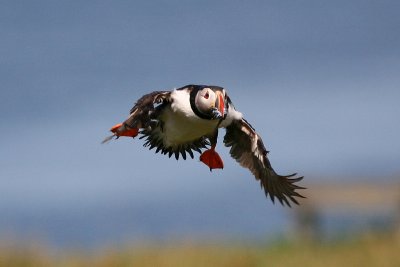 IMG_7359e_1.jpg