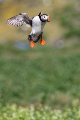 IMG_7371e_1.jpg