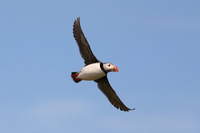 IMG_7569e_1.jpg