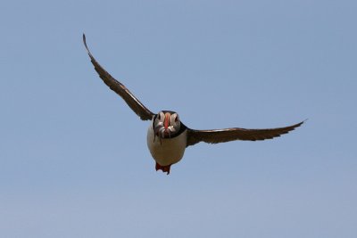 IMG_7694e_1.jpg