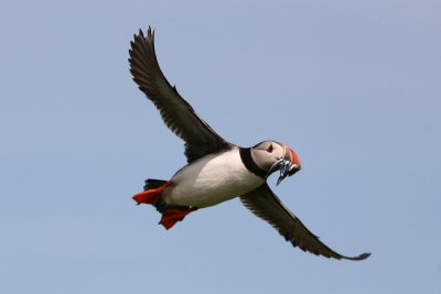 IMG_7798e_1.jpg