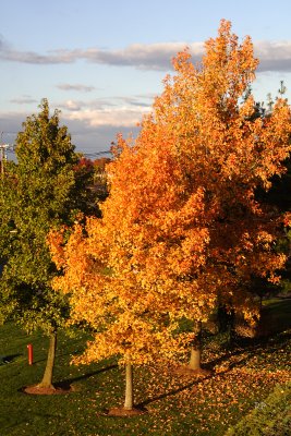 Balcony View (at my work)
