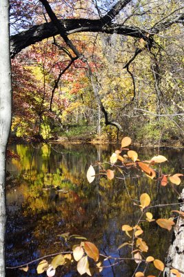 Canal Park Walk 2