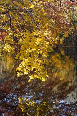 Canal Park Walk 3