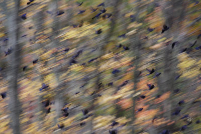 Too Long Exposure 2