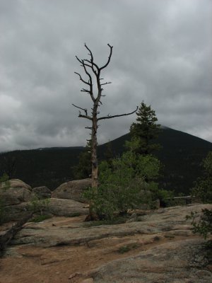 Zmiana pokolen