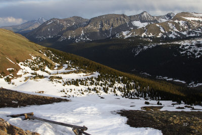 Evening in Alpine Zone