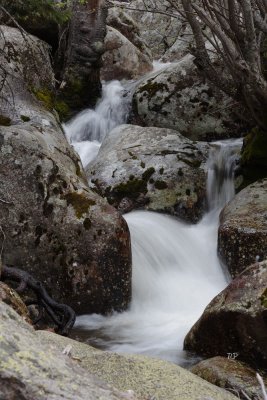 Looking for Dipper and failing ...