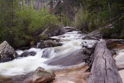 Woods and Water take 3