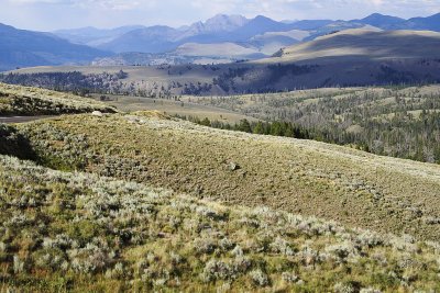There is just no stopping us  one more Lamar Valley