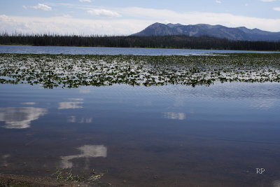 Riddle Lake