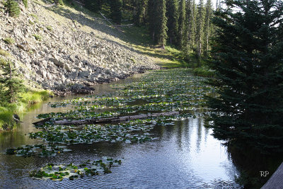 Isa Lake 