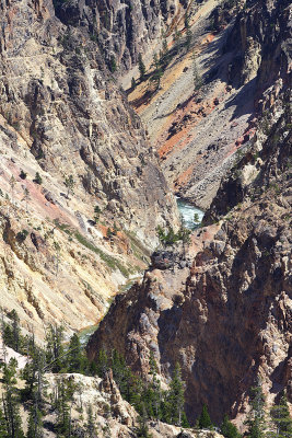 Yellowstone River close-up