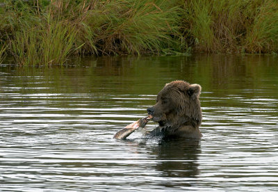 Working on his catch