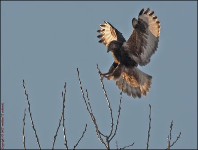 Coming in For Landing...