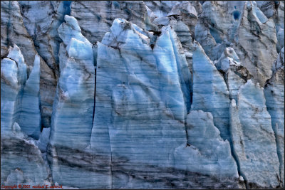 College Fiord Details 002