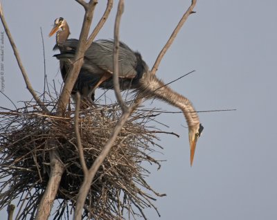 Yikes! You built this so High up...