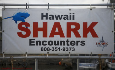 hawaiisharkencounters.com