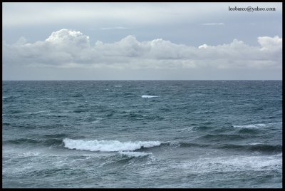 olas04.jpg