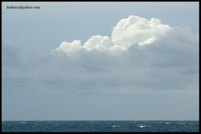 olas05.jpg