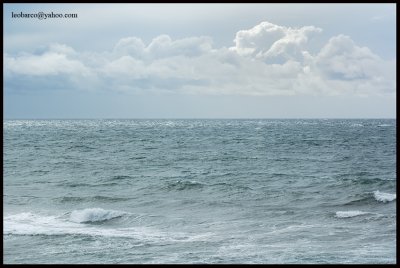olas06.jpg