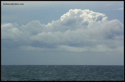 olas09.jpg