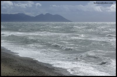 olas10.jpg