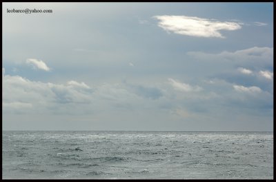 olas13.jpg