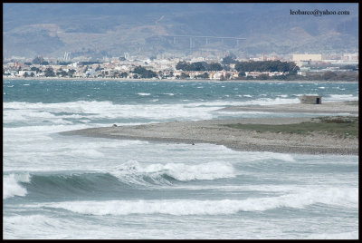 olas16.jpg