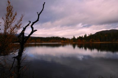 Jotunheimen  2007