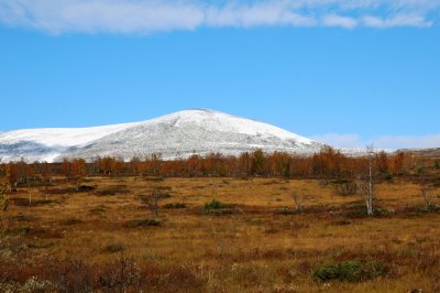 Jotunheimen  2007