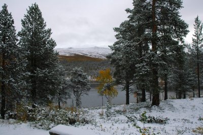 Jotunheimen  2007