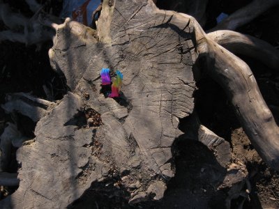 Stump with metal foil