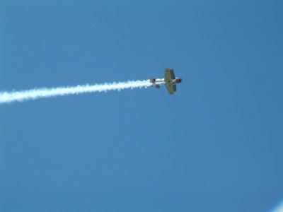 YAK Top Gun 2 Plane.jpg