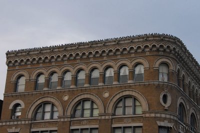 Roofline.jpg