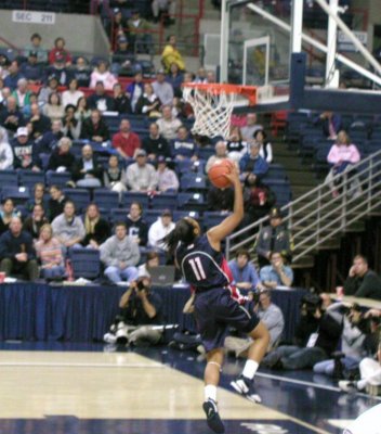 KS_layup.jpg