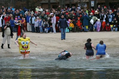 plunge13.jpg