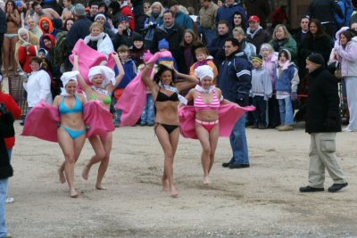 plunge26.jpg