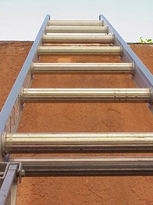 ladder *