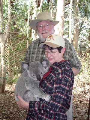 Fran's favorite Koala