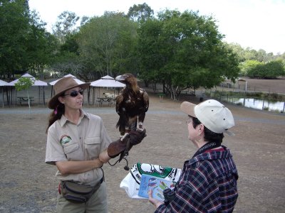 Fran & the Wedge Tailed Eagle