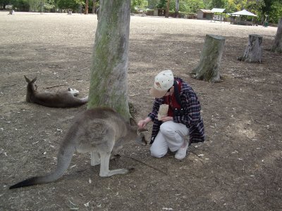 Fran's favorite roo can't get enough