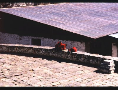 Untitled-13 (1).jpg
