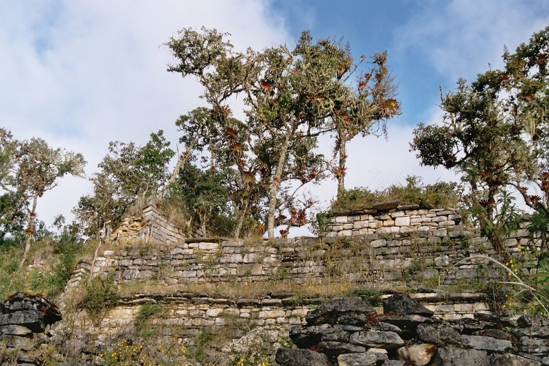 Most buildings have been left in their cloud forest setting