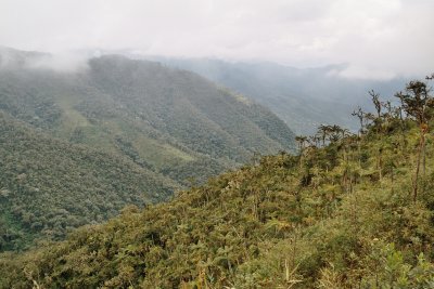 Typical Gran Vilaya landscape
