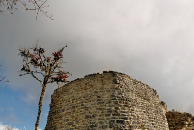 Kuelap watch tower