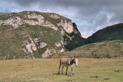 Tajopampa - LaPetaca